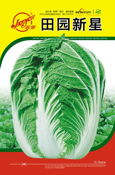 Tianyuan Xinxing——Autumn-sowing Cabbage